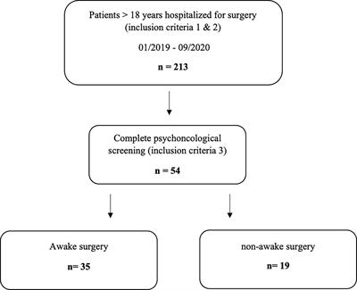 Impact of Anticipated Awake Surgery on Psychooncological Distress in Brain Tumor Patients